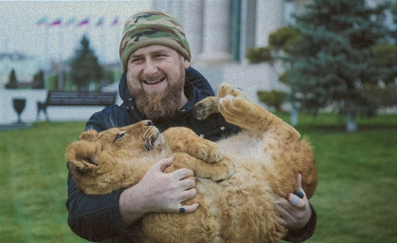 Кадыров и львенок